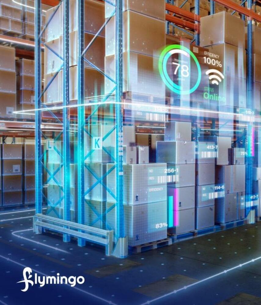 IIF Homepage - Portfolio Companies - Flymingo